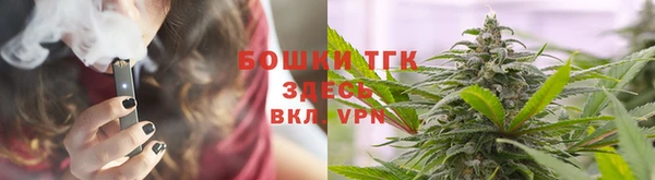 гидра Верея