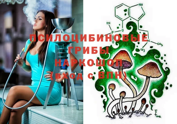 гидра Верея