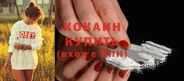 гидра Верея