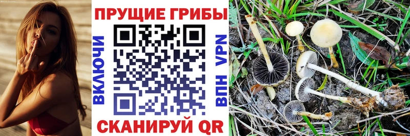Галлюциногенные грибы ЛСД  как найти закладки  Карталы 